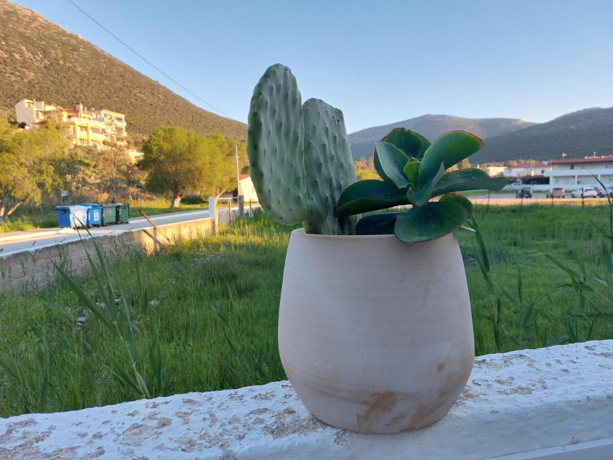 Vitamin Sea Studio Panagia  Exteriör bild